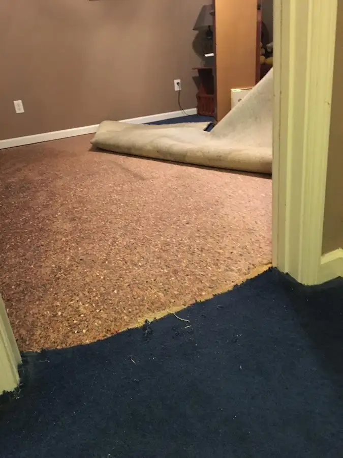 Carpet pad removal revealing water damage during Drying & Dehumidification in Starkville