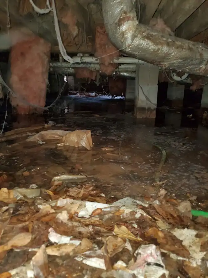 Crawl space flood assessment for Commercial Water Damage Restoration in Starkville