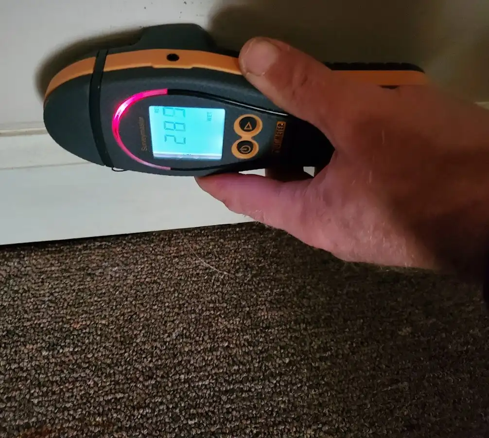 Moisture detection at baseboard during Mold Inspection & Testing in Starkville